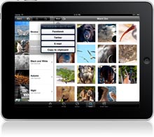 Browse and share albums