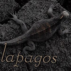 Galapagos 2007-2 (Book Version)