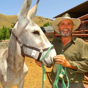 Recogida Burros para Donkeys and Birds