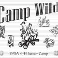 2013 Regions 12, 17  18 4-H Jr. Camp