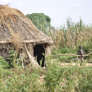 Tchad balade dans un village 