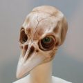 West Nile Christopher resin head