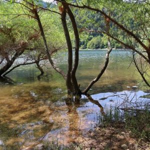 Les Hautes Vosges Lac de Kruth-Wildenstein
