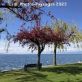 Printemps-2023