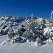 Morgins - Savolaire