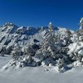 Morgins - Savolaire
