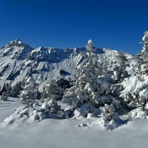 Morgins - Savolaire