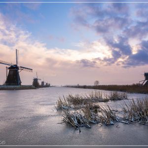 Winter in Kinderdijk
