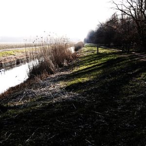 Van Swifterbant naar Lelystad