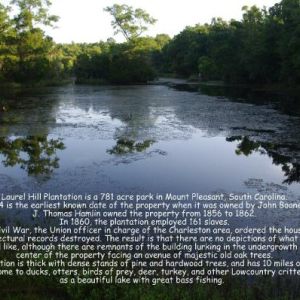 LAUREL HILL PLANTATION