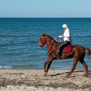 On Horse Photo Tour in Djerba