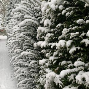 7.1.2026  Spaziergang in und um Kempen