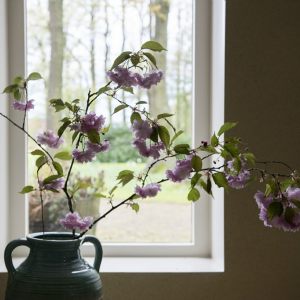 Midweek in Twente en Deventer - 2016