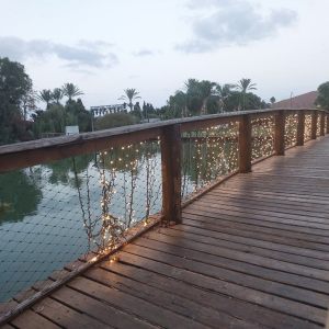 פינת יופי בטבע - חוות רונית