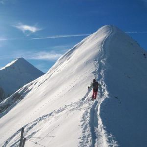 CIMA SILTRI