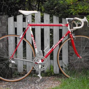 MY BICYCLE COLLECTION