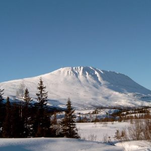 Kvitaavatn