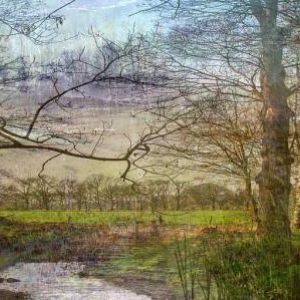 dreamscapes