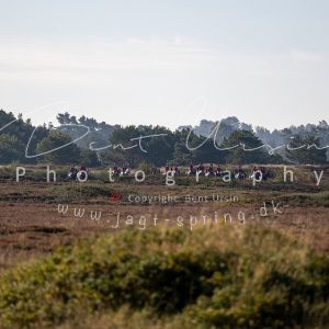 Jagt i Tisvilde 06.10.2024
