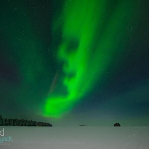 Lapland: Northern Lights & Tykky Trees