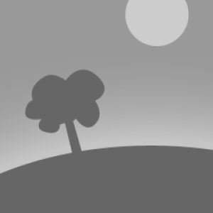 TestingText2CommentsTool