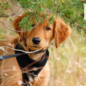 NBF The Challenge lørdag 2025