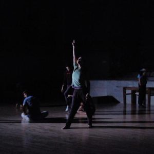ZviDance