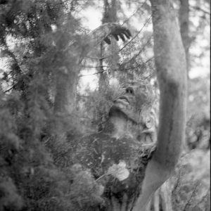 Parikkalan Patsaspuisto