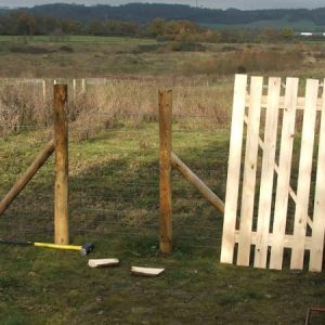 Building and Help for the sheep