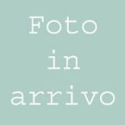 Foto 1000 Miglia 2016