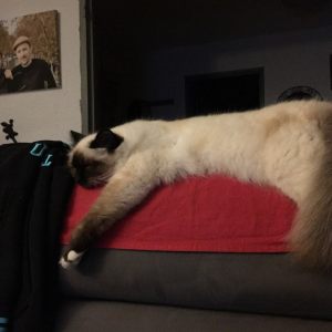 Hh