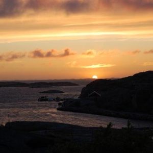 2008-07 klöverön