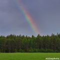 Pictures from the day-Bilder från dagen