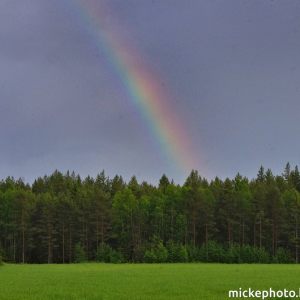 Pictures from the day-Bilder från dagen