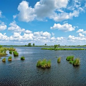 Dein Ostfriesland