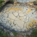Geothermal field