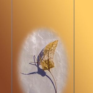 2303-Triptychs_and_Cartouches