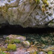 The Water
