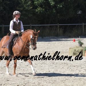 Working Equitation Wintermühle 2015