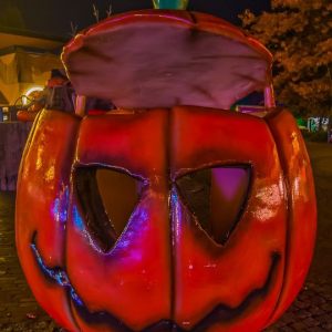 Halloween Nocturne Bobbejaanland 2016