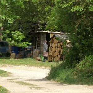 Hongarije , Bükk gebergte hortobagy Saly Farmlator  2009