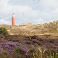 Texel zomer 2021
