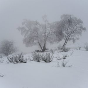 Balade dans les Vosges