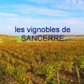 le SANCERROIS