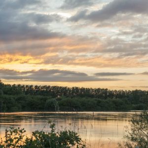 Schelde bij zonsondergang