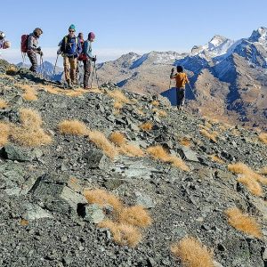 Lacs de montagne 2021