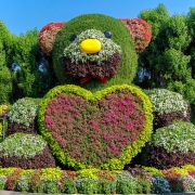 Dubai Miracle Garden