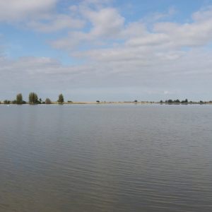 Slingeren door de Oostvaardersplassen
