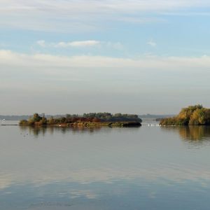 Tussen Stichtse en Hollandse Brug