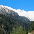 OLD MANALI SPRINGTIME 2014